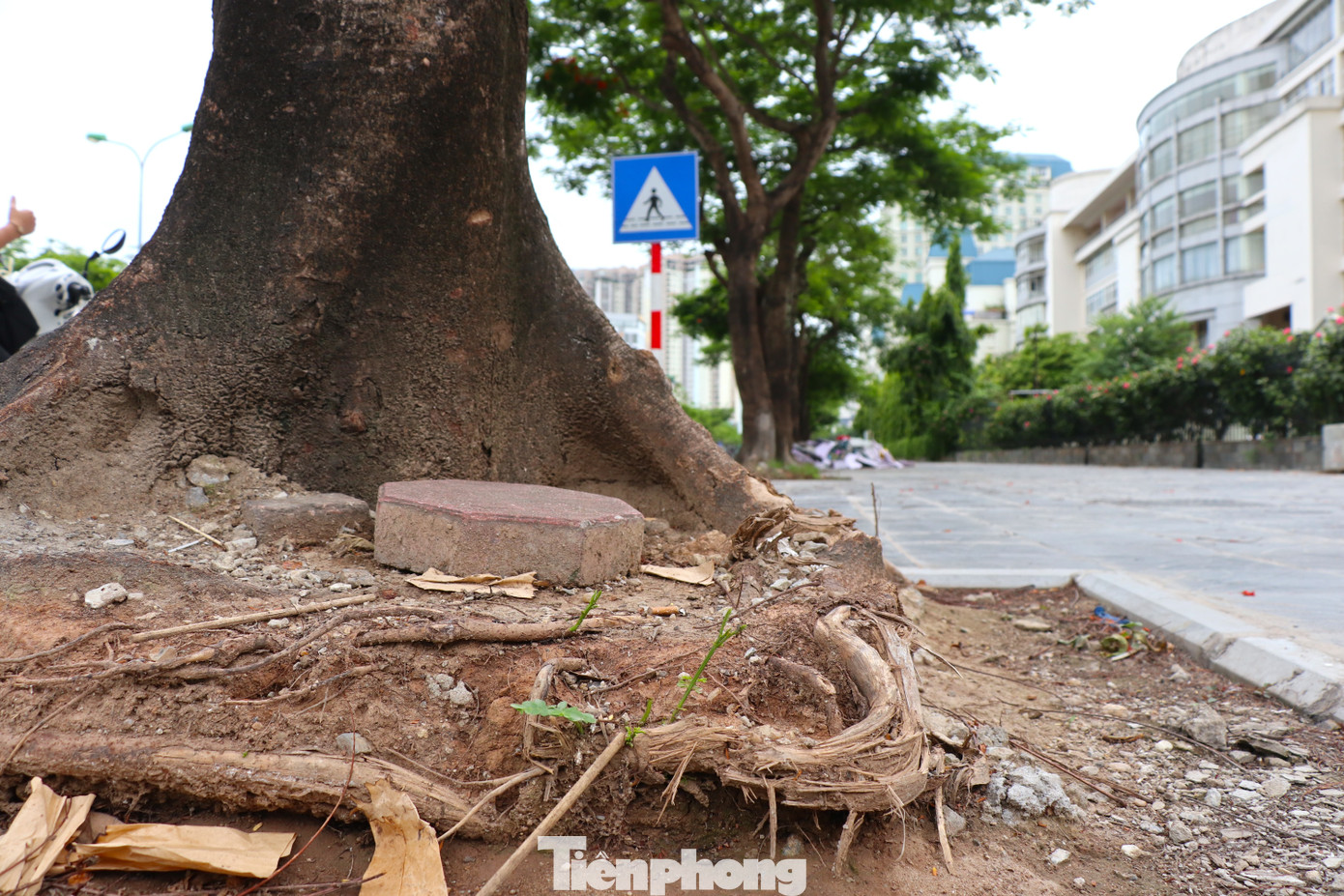 Vào các tháng cuối năm 2023, vỉa hè đường Mễ Trì được cải tạo lát lại đá.
