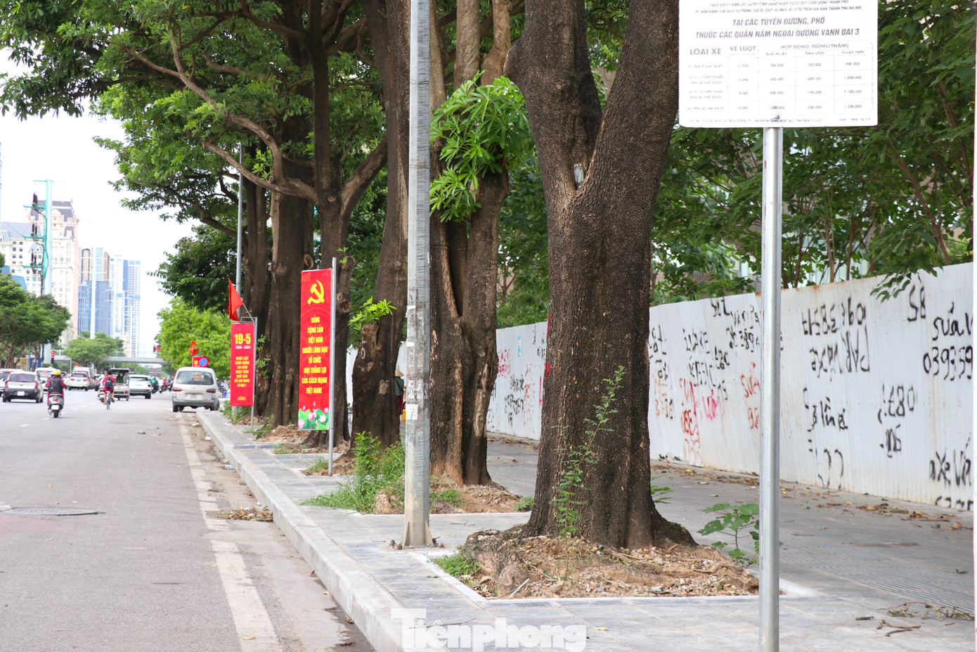 Theo các chuyên gia về cây xanh, để có được một cây xanh cho bóng mát trên đường phố, ngoài những chi phí chăm sóc còn phải mất một thời gian rất dài mới có được cây xanh loại 2 (15 năm tuổi). Do đó, nếu không ngăn chặn được tình trạng thi công vỉa hè cẩu thả để cây ngã hàng loạt thì thiệt hại sẽ rất lớn. Đó là chưa kể đến những trường hợp cây ngã xuống đường phố gây tai nạn chết người.