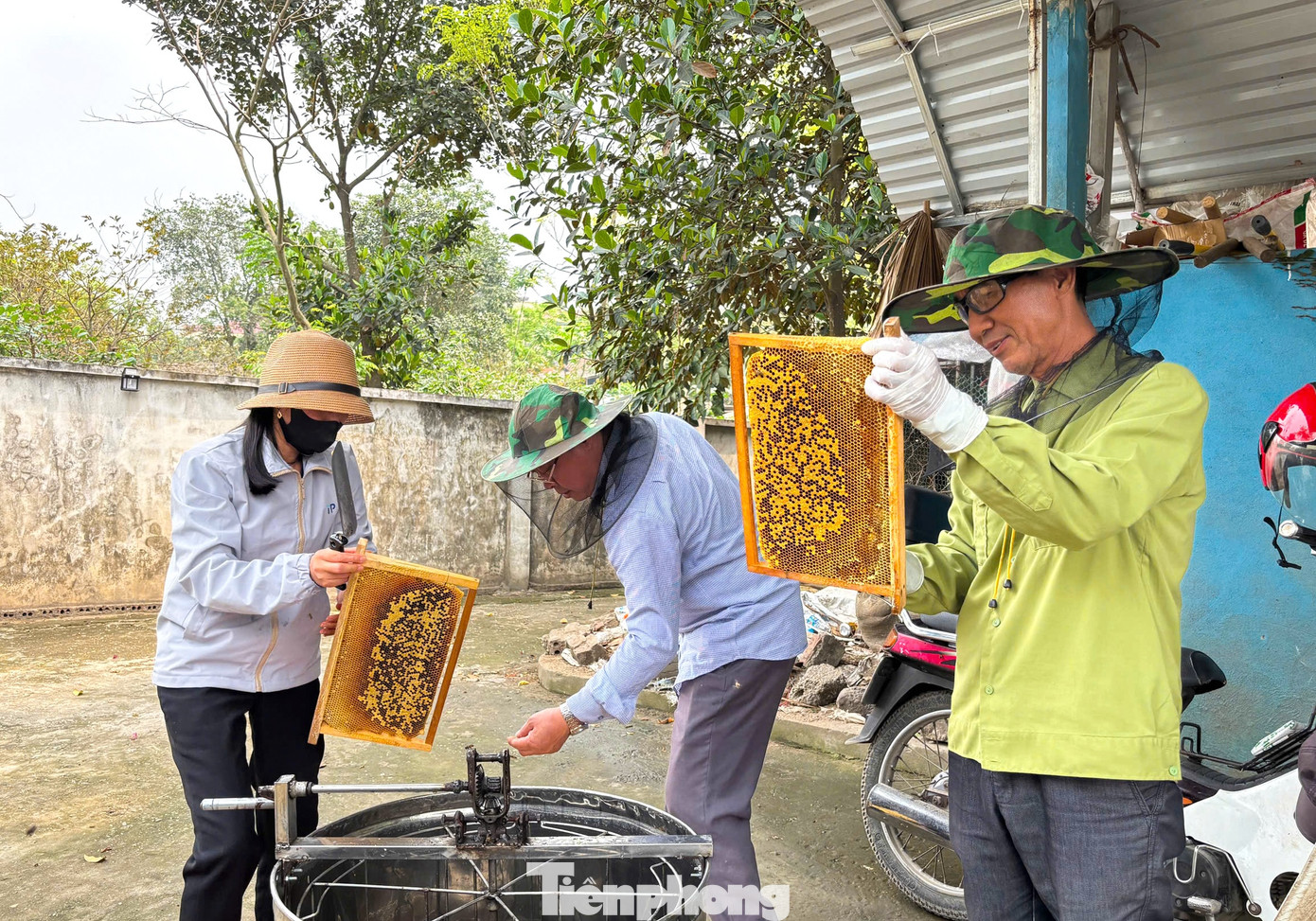 Mỗi một loài hoa lại cho hương vị mật đặc trưng khác nhau, nhưng mật ong lấy từ hoa nhãn, hoa vải cho chất lượng tốt nhất, được thị trường ưa chuộng và có giá trị cao từ 200.000 đến 250.000 đồng/lít. Mỗi một loài hoa lại cho hương vị mật đặc trưng khác nhau, nhưng mật ong lấy từ hoa nhãn, hoa vải cho chất lượng tốt nhất, được thị trường ưa chuộng và có giá trị cao từ 200.000 đến 250.000 đồng/lít.