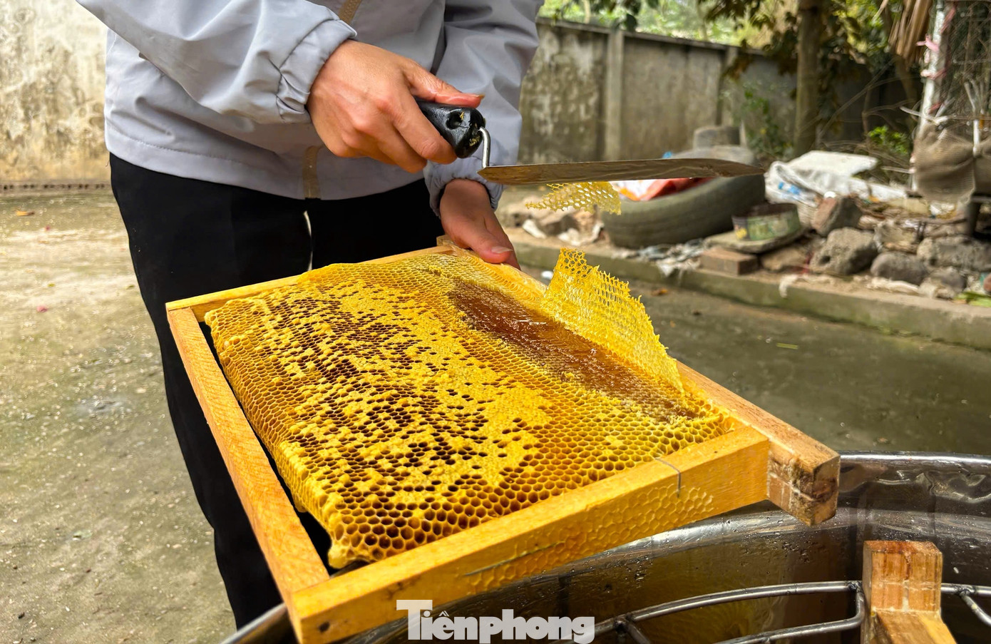 Năm nay, thời tiết thuận lợi, cây ăn quả rất sai hoa. Dự kiến, lượng mật thu được năm nay gấp đôi mùa hoa nhãn năm ngoái. Năm nay, thời tiết thuận lợi, cây ăn quả rất sai hoa. Dự kiến, lượng mật thu được năm nay gấp đôi mùa hoa nhãn năm ngoái.