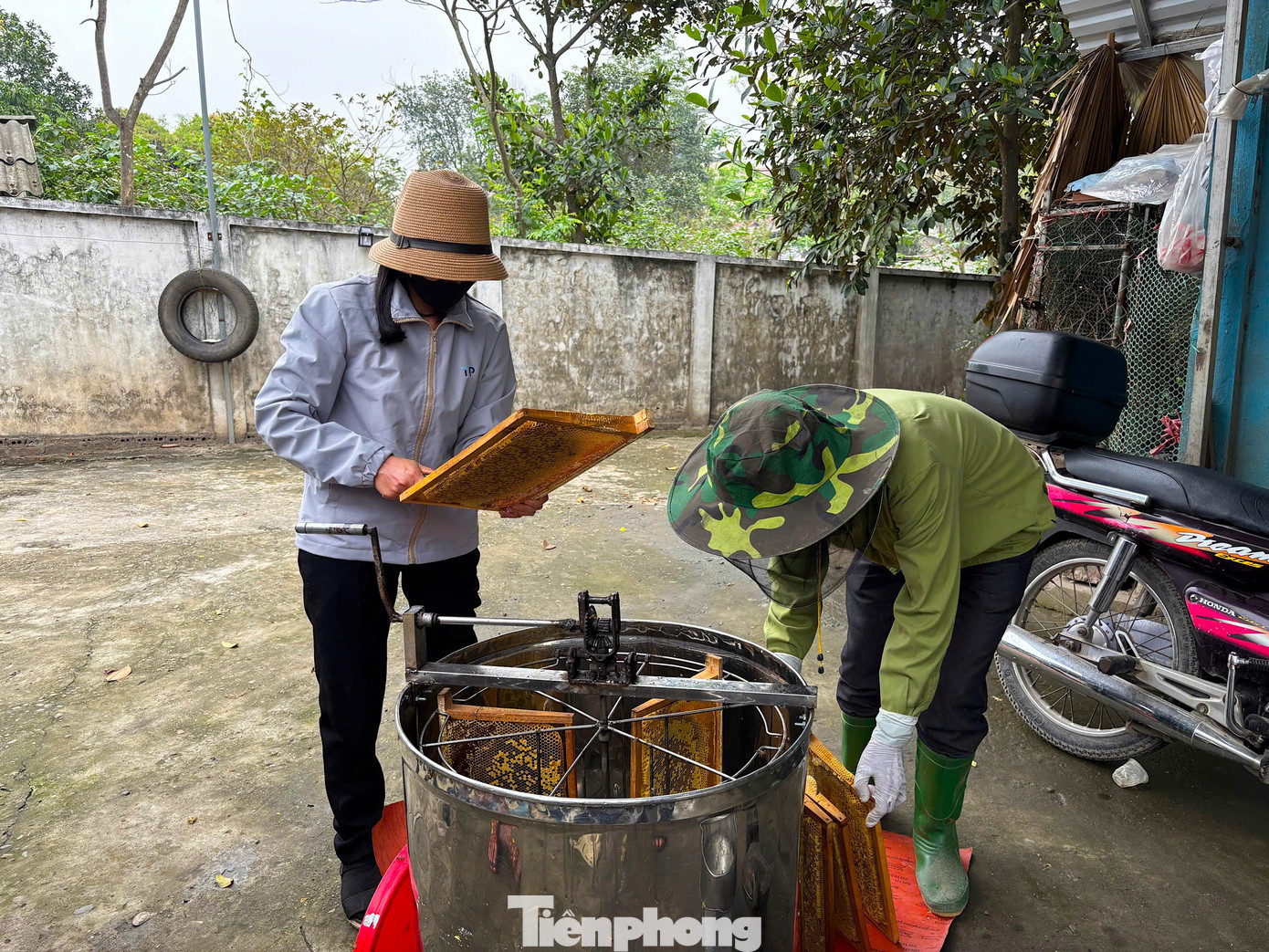 Có nhiều vụ thu hoạch trong năm nhưng lứa mật ngon nhất, chất lượng nhất thường là vụ xuân với đa dạng các loài hoa của cây ăn quả như hoa nhãn, hoa vải, hoa xoài,... Có nhiều vụ thu hoạch trong năm nhưng lứa mật ngon nhất, chất lượng nhất thường là vụ xuân với đa dạng các loài hoa của cây ăn quả như hoa nhãn, hoa vải, hoa xoài,...