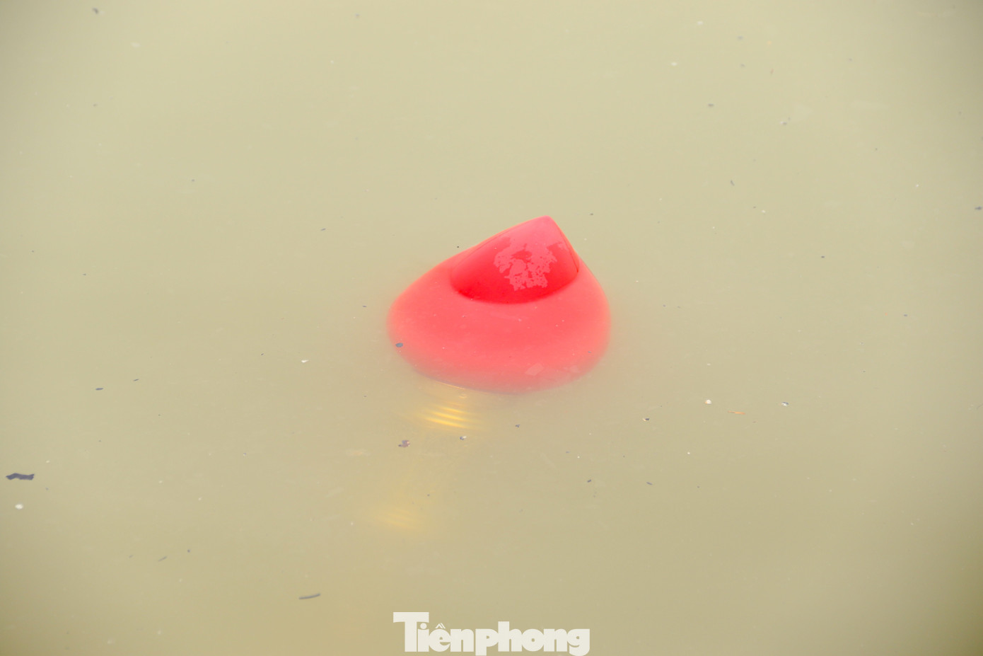 Ghi nhận PV Tiền Phong ngày 22/1 (23 tháng Chạp) khu vực Đền Cô Bơ Bến Bạc, xuất hiện nhiều "rác tâm linh" trôi nổi ven bờ sông Hồng. Ghi nhận PV Tiền Phong ngày 22/1 (23 tháng Chạp) khu vực Đền Cô Bơ Bến Bạc, xuất hiện nhiều "rác tâm linh" trôi nổi ven bờ sông Hồng.