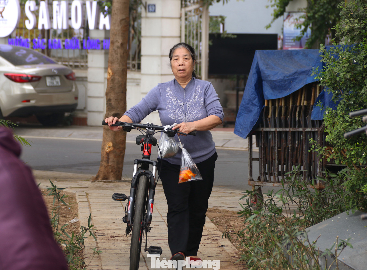 Hoạt động tuyên truyền, hướng dẫn người dân thả cá được triển khai từ ngày 20/1 đến hết 22/1.