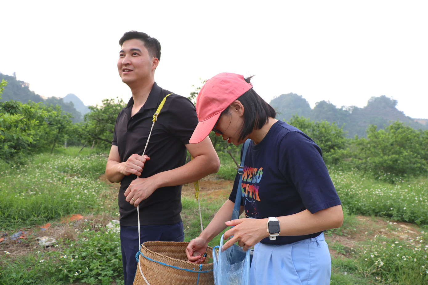 Đây cũng là thời điểm lý tưởng để khách du lịch đến Mộc Châu trải nghiệm cảm giác được lạc vào giữa vườn mận bạt ngàn, hái và ăn mận thỏa thích.