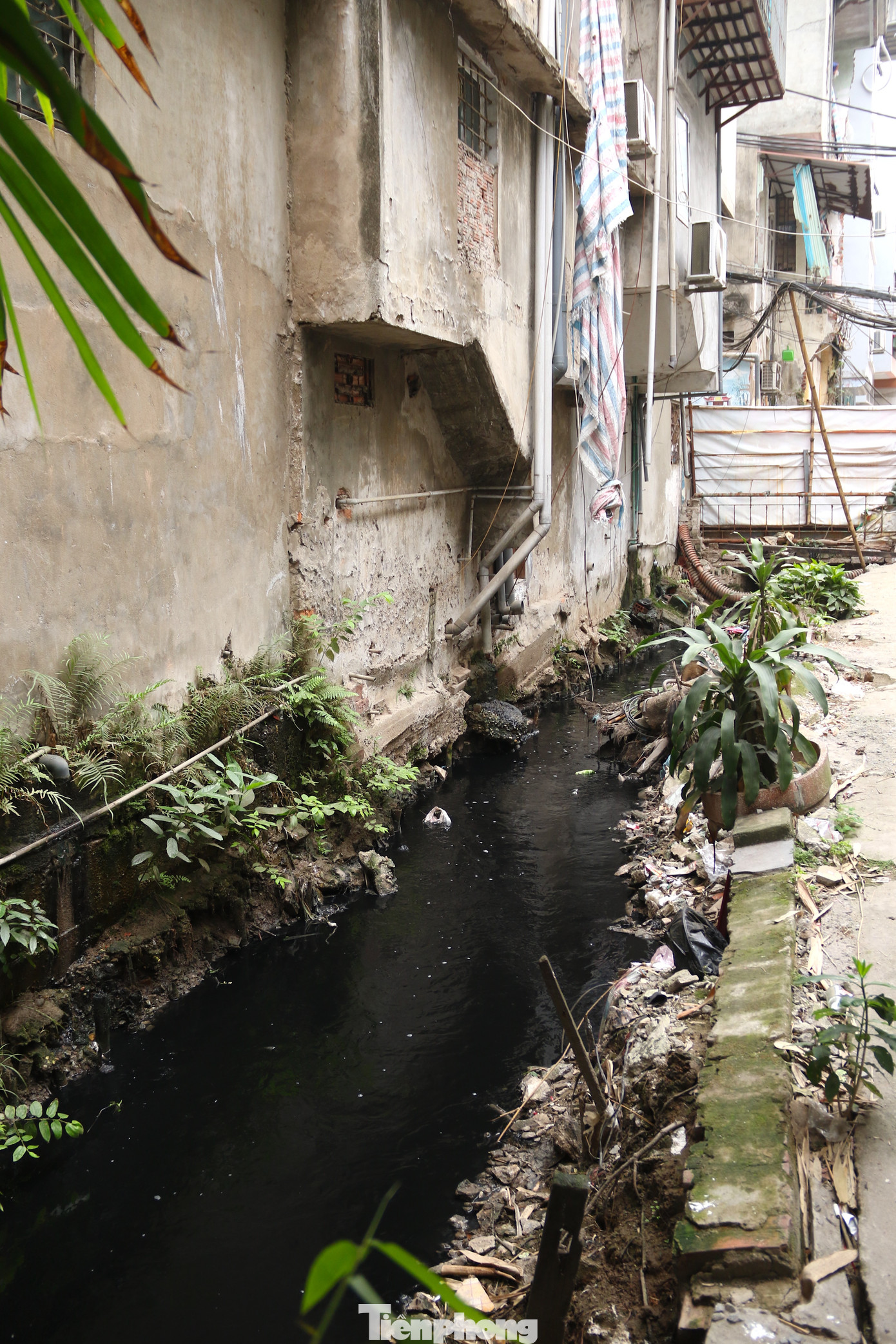 Theo kế hoạch, khi dự án hoàn thành thì mương cũ Thụy Khuê trước đây sẽ được thay thế bằng hệ thống cống hộp với kỳ vọng người dân được sống trong môi trường sạch sẽ, đảm bảo văn minh đô thị. Vậy nhưng, đến nay đã hơn 10 năm triển khai, dự án vẫn chưa hoàn thành làm ảnh hưởng nghiêm trọng đến công tác đảm bảo vệ sinh môi trường, đời sống của người dân quanh khu vực.