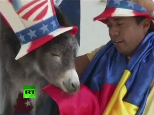 Chú lừa Demo sẽ được tặng cho Tổng thống Obama... 