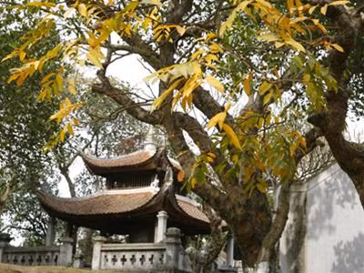Di tích Cổ Loa. Ảnh: Hồng Vĩnh