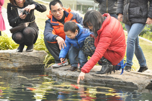 Thêm một điểm vui chơi miễn phí vào dịp Tết dương lịch 2014 cho nhiều gia đình tại Hà Nội