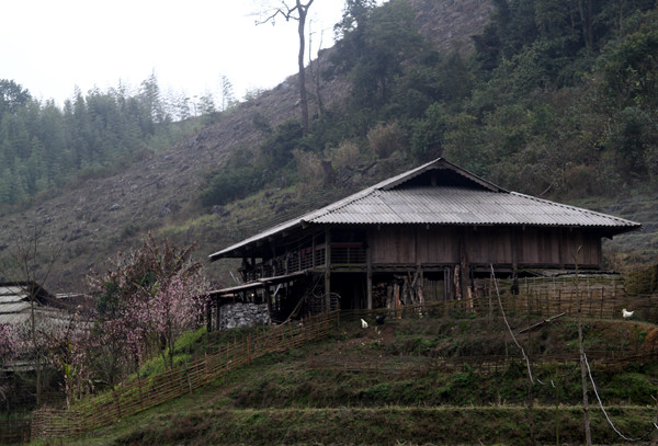 Nhà sàn thường tựa lưng vào đồi núi, hướng ra khoảng không rộng