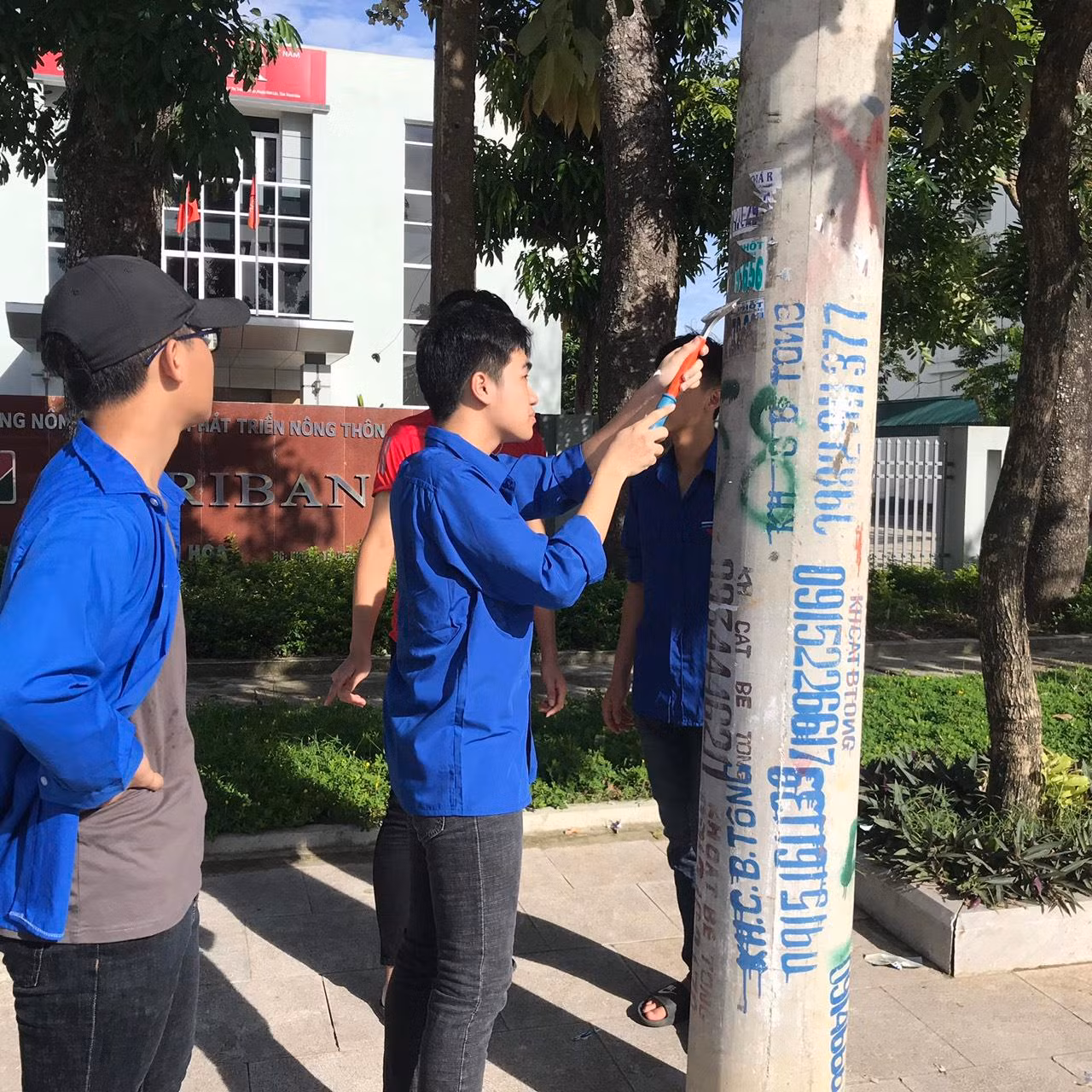 Hàng trăm cột điện ‘nở hoa’ ở xứ Thanh ảnh 4