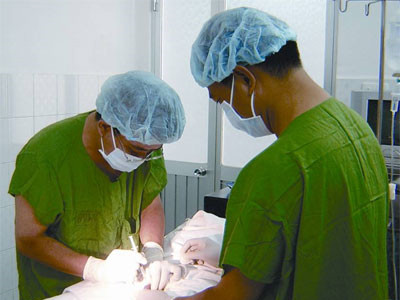 Một kỹ thuật lấy tinh trùng để làm thụ tinh trong ống nghiệm. Ảnh: Thanh Tùng (Thanh Niên)