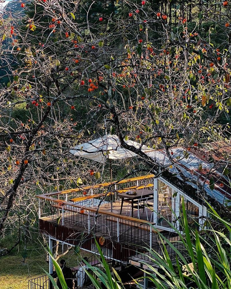 Ảnh: Đợi Một Người.