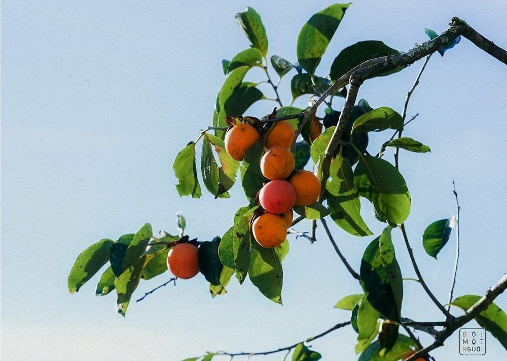 Ảnh: Đợi Một Người.