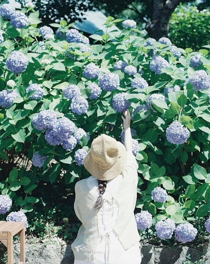 Có những điều mất đi chẳng thể tìm lại được. (Ảnh minh họa: IG@photo.tamago) Có những điều mất đi chẳng thể tìm lại được. (Ảnh minh họa: IG@photo.tamago)