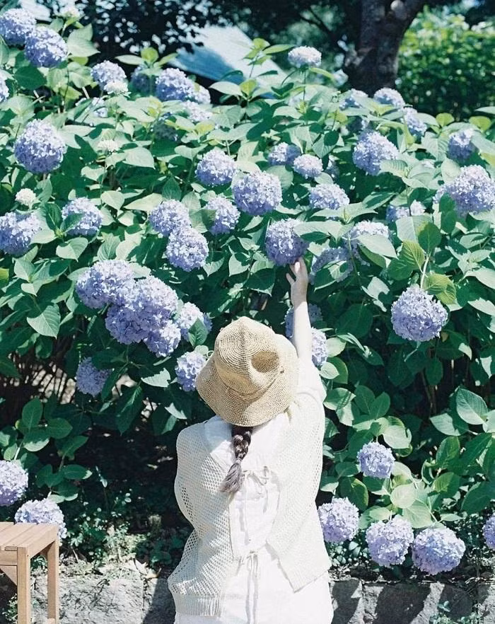 Có những điều mất đi chẳng thể tìm lại được. (Ảnh minh họa: IG@photo.tamago) Có những điều mất đi chẳng thể tìm lại được. (Ảnh minh họa: IG@photo.tamago)