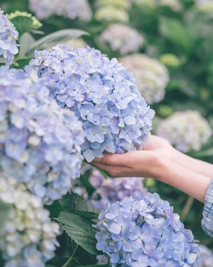 Mọi điều đến đều có những dấu hiệu báo trước. (Ảnh minh họa: IG@jissang_) Mọi điều đến đều có những dấu hiệu báo trước. (Ảnh minh họa: IG@jissang_)