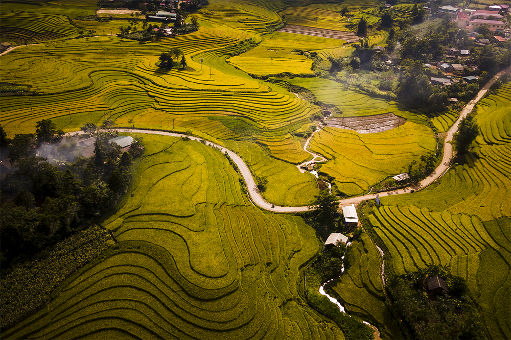 Ảnh: Nguyễn Duy Hoàng. Ảnh: Nguyễn Duy Hoàng.