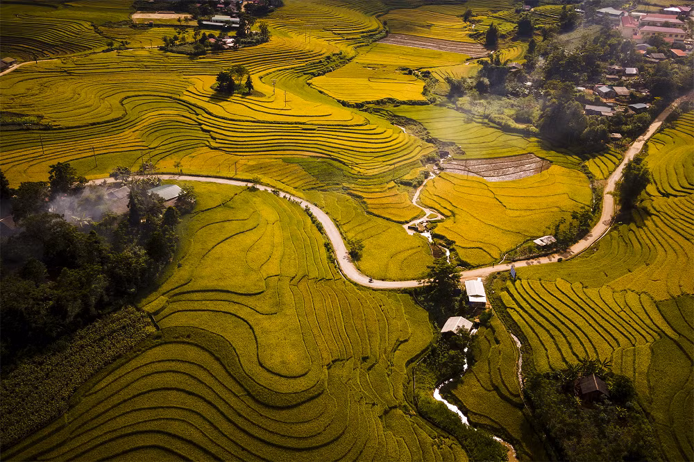 Ảnh: Nguyễn Duy Hoàng.