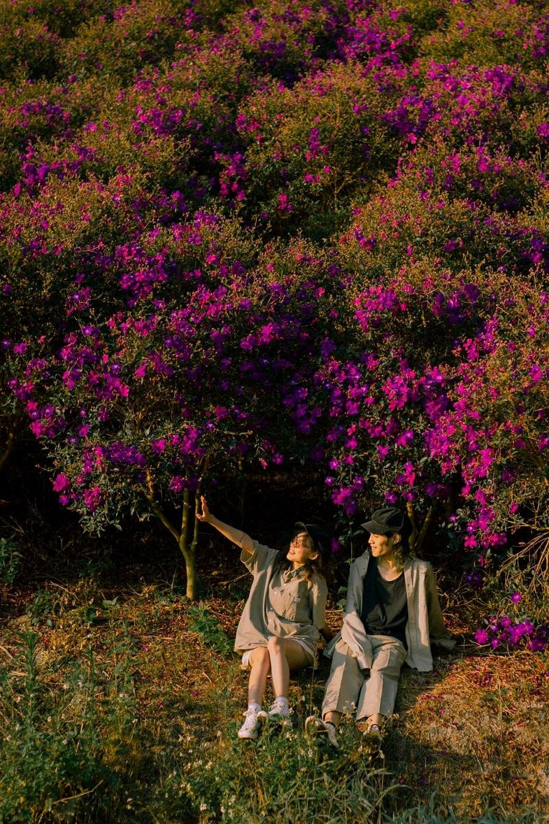 Một góc lãng mạn. (Ảnh: Võ Thuật) Một góc lãng mạn. (Ảnh: Võ Thuật)