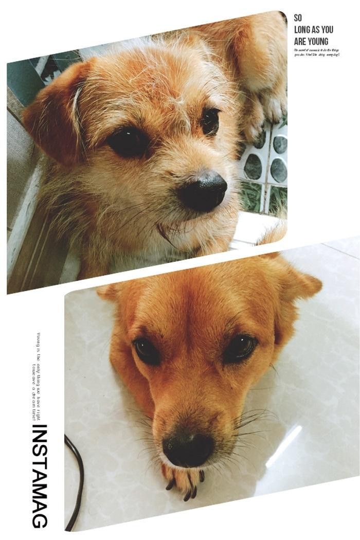 Có tui đây rồi cớ sao "sen" còn buồn? Có tui đây rồi cớ sao "sen" còn buồn?