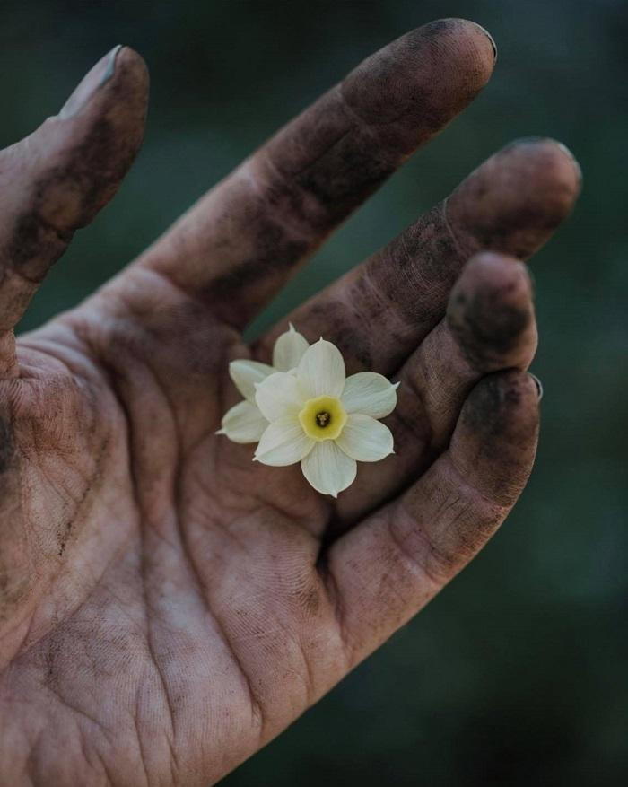 Diện tích nhỏ thì mình làm vườn kiểu nhỏ. (Ảnh minh họa: IG@sigridsminde) Diện tích nhỏ thì mình làm vườn kiểu nhỏ. (Ảnh minh họa: IG@sigridsminde)