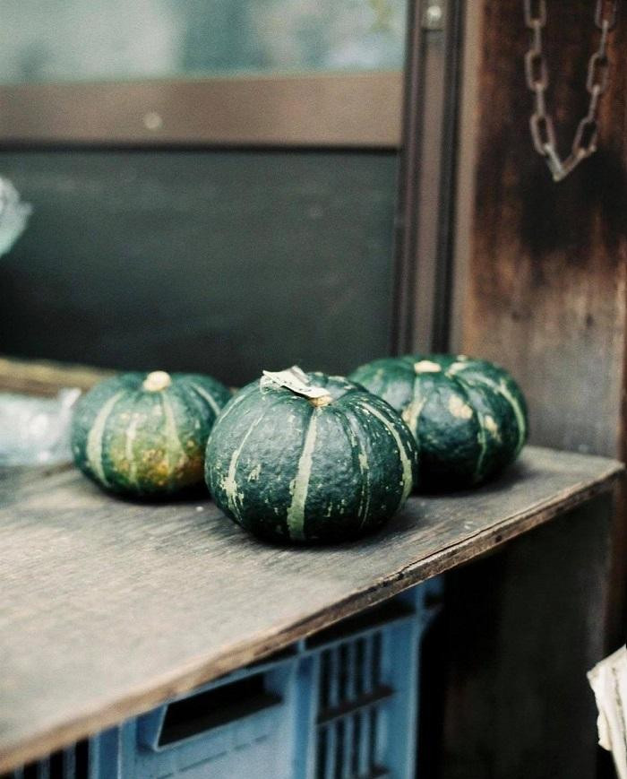 “Vườn rau” nho nhỏ của bố cũng lên mầm nhanh phết. (Ảnh minh họa: IG@kamo_san2) “Vườn rau” nho nhỏ của bố cũng lên mầm nhanh phết. (Ảnh minh họa: IG@kamo_san2)