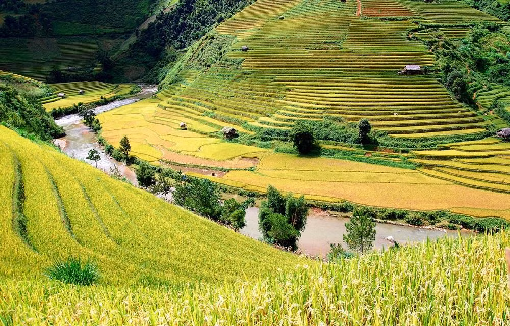 Ảnh tổng hợp từ Internet