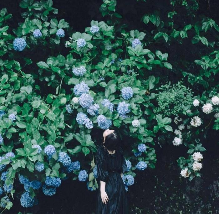 Em hỏi, liệu rằng em có thể sống theo cách mình mong muốn hay không? (Ảnh minh họa: Instagram@photomarusa)