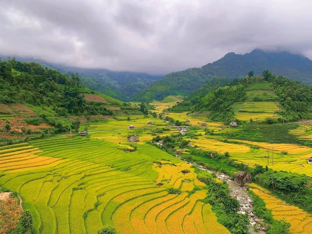 Ảnh tổng hợp từ Internet