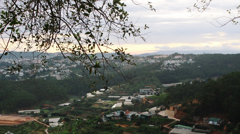 Chiếc view nhà lồng “triệu đô” của Kong. (Ảnh: Cá Mèo)