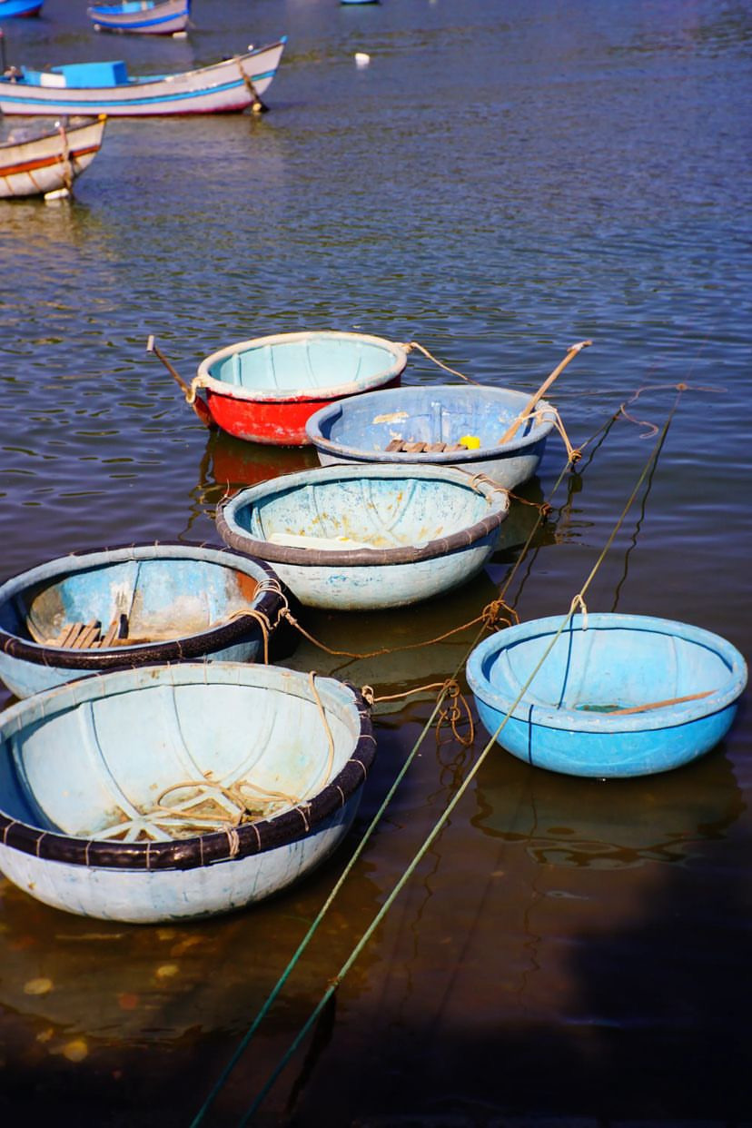 Ảnh: @_don.nob_ Ảnh: @_don.nob_