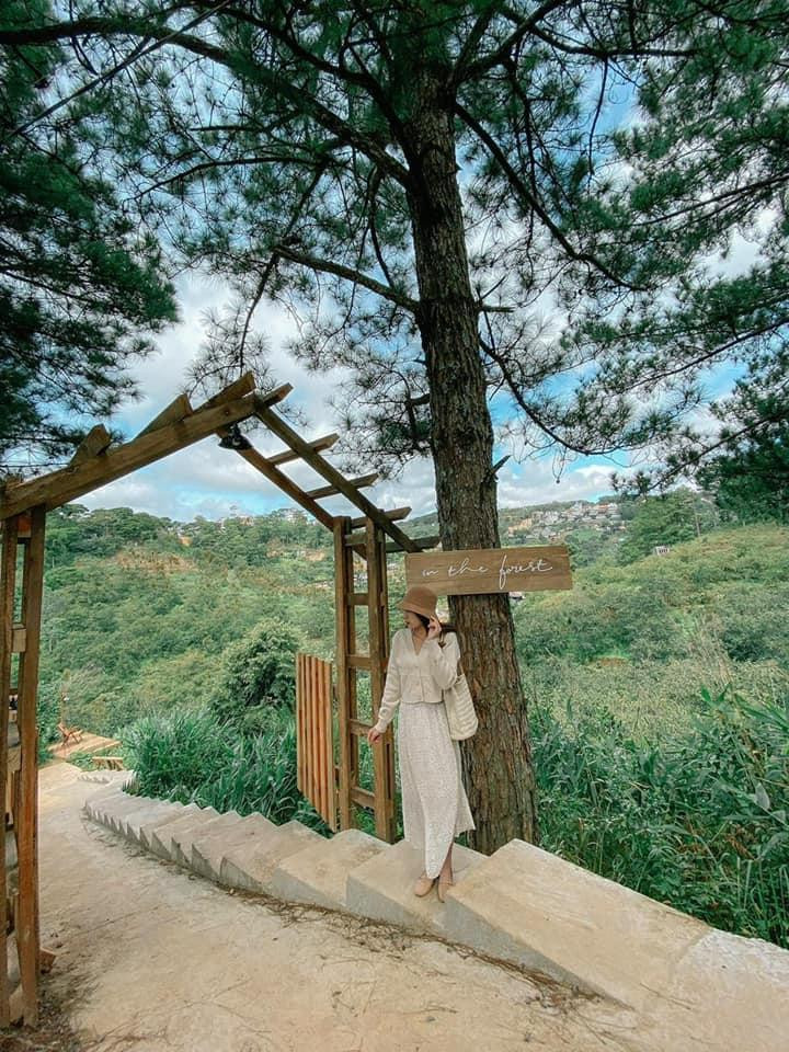 Đi qua con dốc rất thơ... (Ảnh: Page In The Forest) Đi qua con dốc rất thơ... (Ảnh: Page In The Forest)