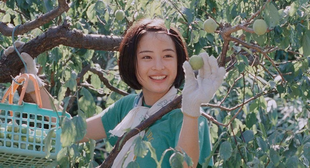 Hương vị mùa Hè mà tôi mãi nhớ, là mùi đất sau cơn mưa, là tiếng ve âm vang một góc trời... (Minh họa: Phim Our Little Sister)