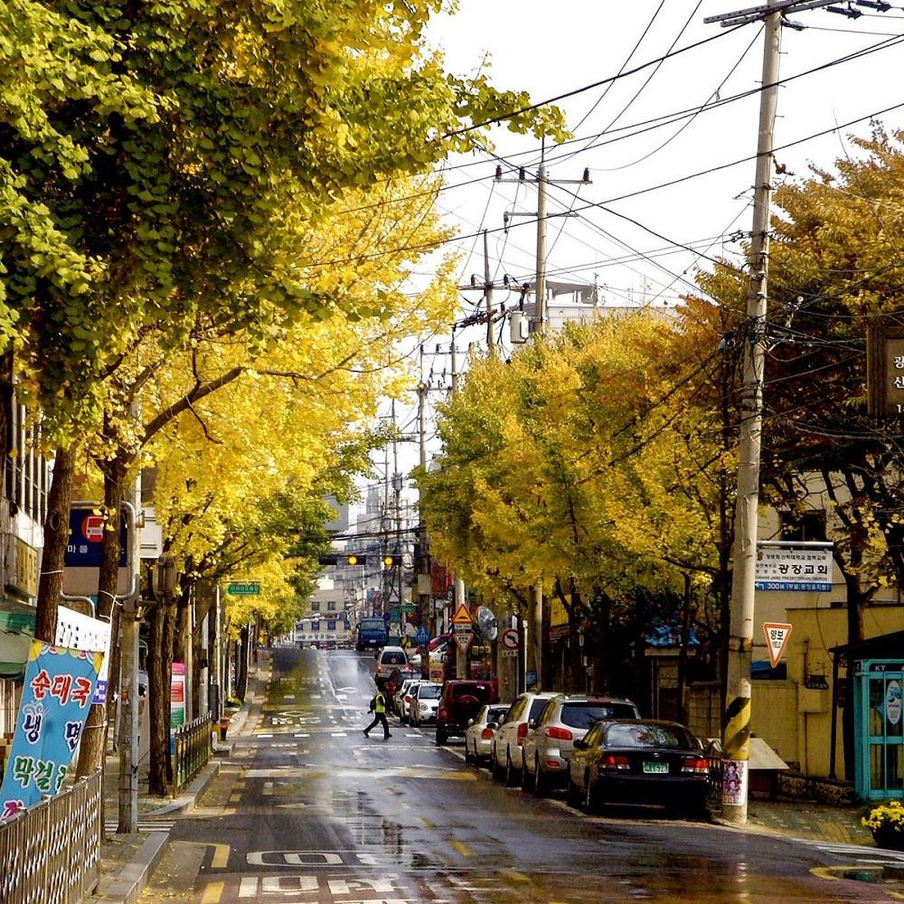 Giờ đây cậu đang ở Seoul. Giờ đây cậu đang ở Seoul.