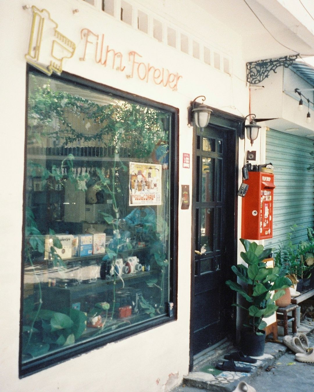 Thường Xanh xinh xẻo như một “vườn nghệ”. (Ảnh: Instagram @koustein)