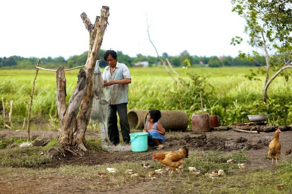 Mùa Hè năm ấy, bố dặn tôi chăm đàn vịt. (Ảnh minh họa: Phim "Khi Con Là Nhà") Mùa Hè năm ấy, bố dặn tôi chăm đàn vịt. (Ảnh minh họa: Phim "Khi Con Là Nhà")