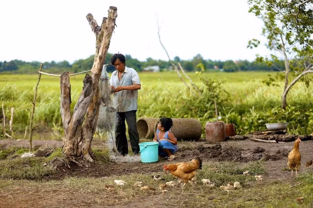 Mùa Hè năm ấy, bố dặn tôi chăm đàn vịt. (Ảnh minh họa: Phim "Khi Con Là Nhà")