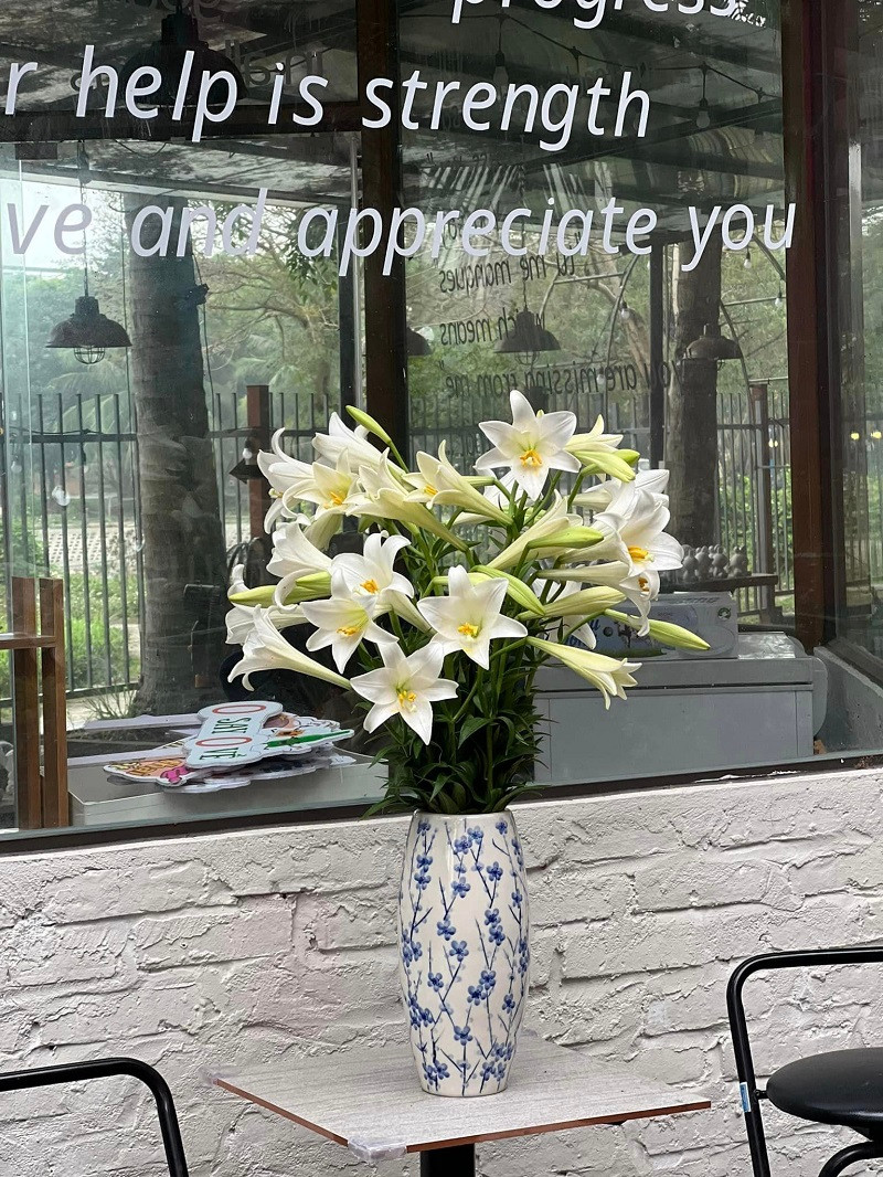 Ảnh: The Haven Coffee &amp; Tea.