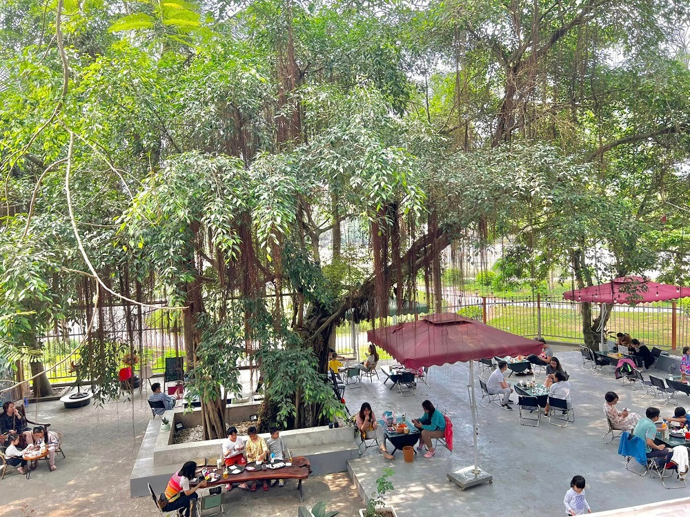 Ảnh: The Haven Coffee &amp; Tea.