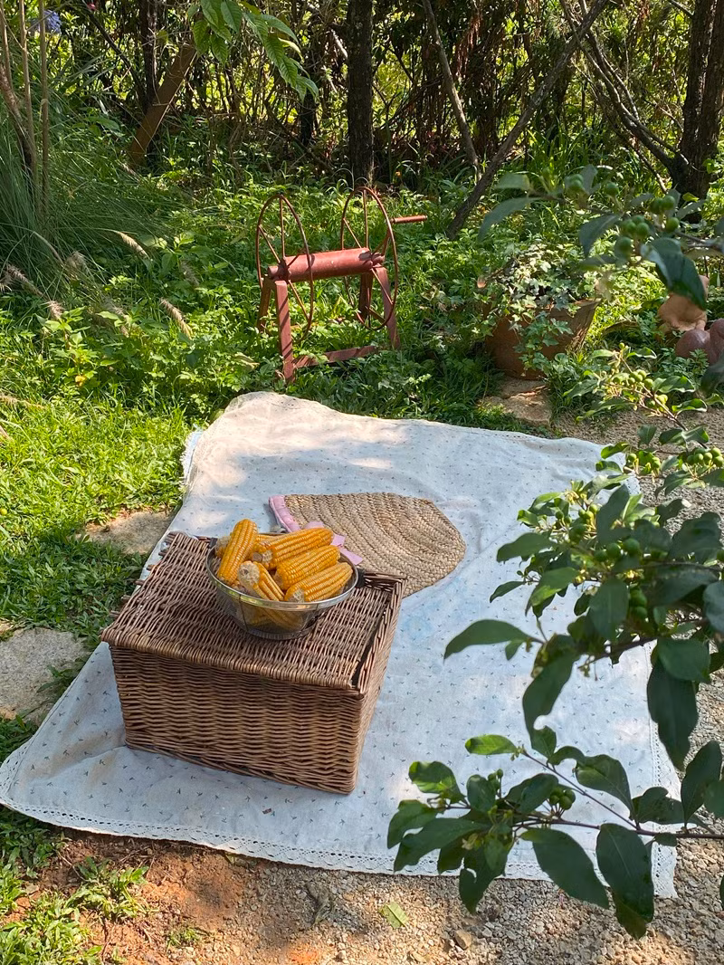 Mỗi một góc của The Little Cottage đều như những thước film mang đậm vibes cottagecore. Mỗi một góc của The Little Cottage đều như những thước film mang đậm vibes cottagecore.
