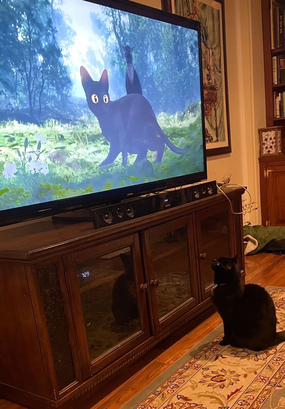 Những chú mèo đang xem Flow, có lẽ cũng đang mơ về một cuộc phiêu lưu riêng.