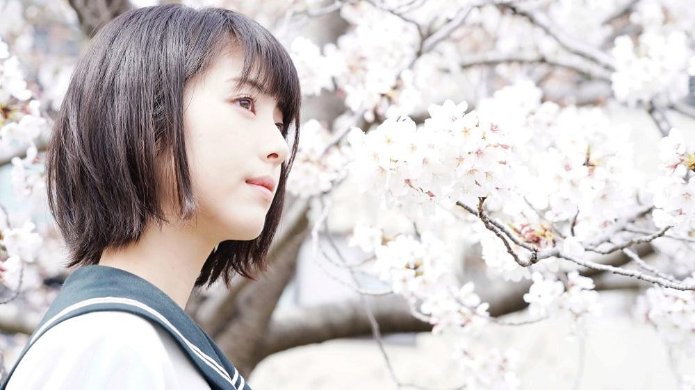 Tớ gọi cậu là Hoa Bằng Lăng. (Ảnh minh họa: Phim &quot;Trò Chơi Cút Bắt&quot;)