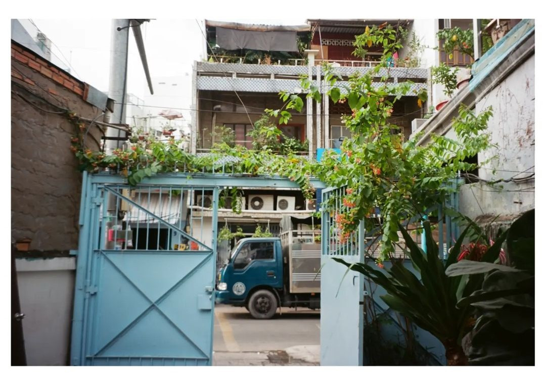 Khu vườn nhỏ xinh của LLab nằm giữa trung tâm thành phố. (Ảnh: Instagram @rothnik_croft)