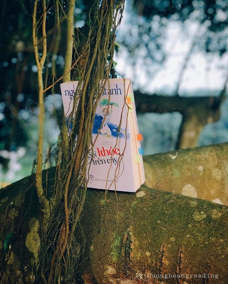 Ảnh minh họa: Instagram@cuonghoangreading