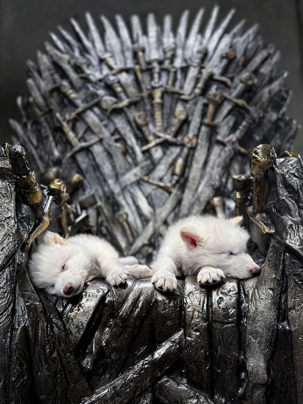 Romulus và Remus nằm trên Ngai Sắt.