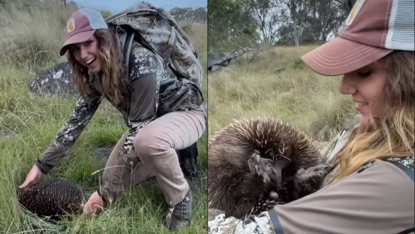 Sam Jones cũng từng bắt một con nhím. Sam Jones cũng từng bắt một con nhím.