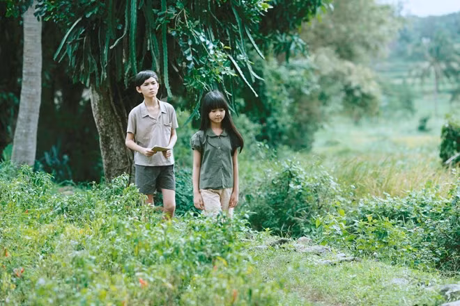 Ảnh minh họa: Phim Tôi thấy hoa vàng trên cỏ xanh.