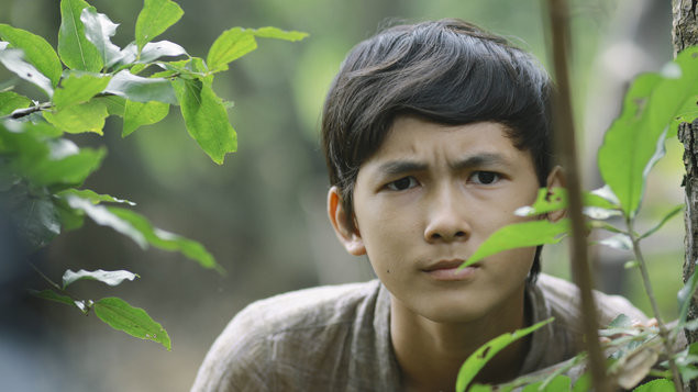 Ảnh minh họa: Phim Tôi thấy hoa vàng trên cỏ xanh.