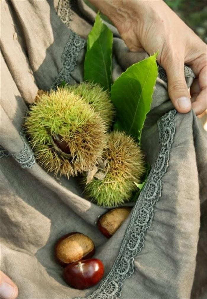 Hạt to chúng tôi đem bán, hạt nhỏ chúng tôi rang ăn. (Ảnh minh họa: Pinterest) Hạt to chúng tôi đem bán, hạt nhỏ chúng tôi rang ăn. (Ảnh minh họa: Pinterest)