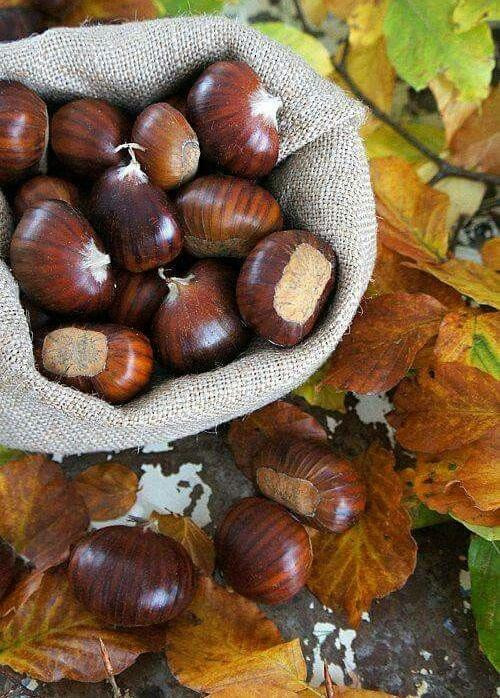 Những ngày tháng ấy thật nhiều niềm vui. (Ảnh minh họa: Pinterest) Những ngày tháng ấy thật nhiều niềm vui. (Ảnh minh họa: Pinterest)